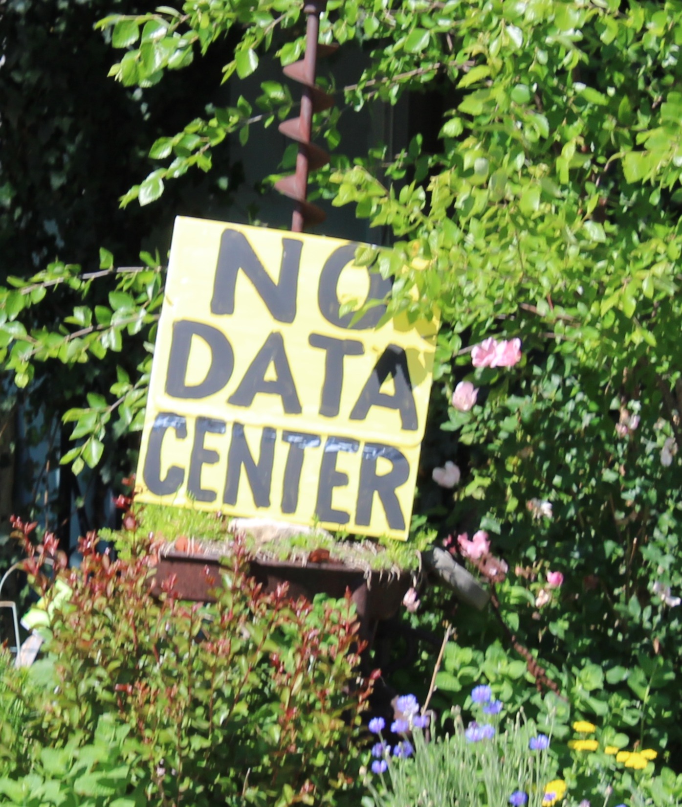 Handmade yard sign reading No Data Center